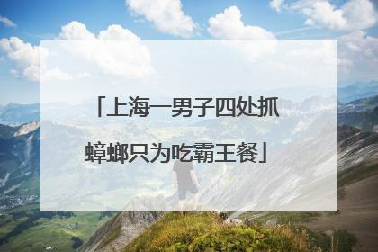上海一男子四处抓蟑螂只为吃霸王餐