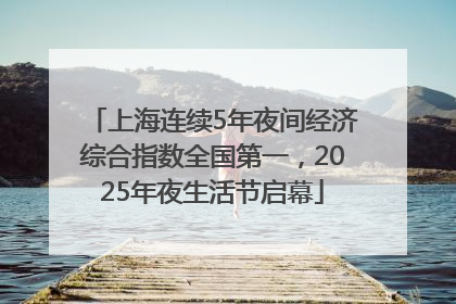 上海连续5年夜间经济综合指数全国第一，2025年夜生活节启幕