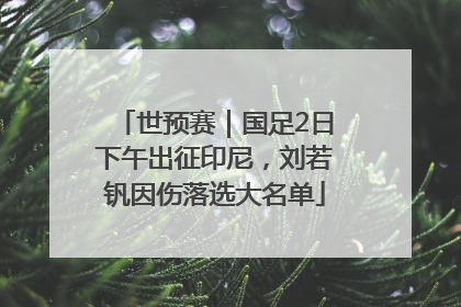 世预赛｜国足2日下午出征印尼，刘若钒因伤落选大名单