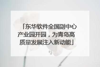 东华软件全国副中心产业园开园，为青岛高质量发展注入新动能