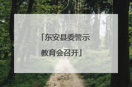 东安县委警示教育会召开