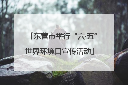 东营市举行“六·五”世界环境日宣传活动