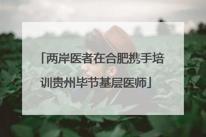 两岸医者在合肥携手培训贵州毕节基层医师