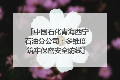 中国石化青海西宁石油分公司：多维度筑牢保密安全防线