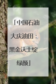 中国石油大庆油田：黑金沃土绽绿颜