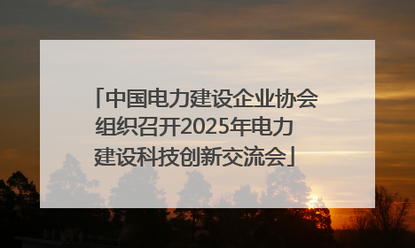 中国电力建设企业协会组织召开2025年电力建设科技创新交流会