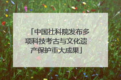 中国社科院发布多项科技考古与文化遗产保护重大成果