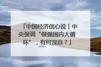 中国经济信心说丨中央强调“做强国内大循环”，有何深意？