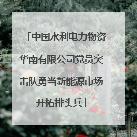 中国水利电力物资华南有限公司党员突击队勇当新能源市场开拓排头兵