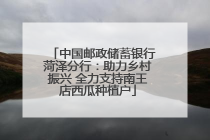 中国邮政储蓄银行菏泽分行：助力乡村振兴 全力支持南王店西瓜种植户