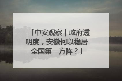 中安观察｜政府透明度，安徽何以稳居全国第一方阵？