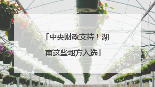 中央财政支持！湖南这些地方入选