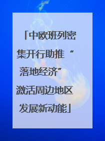 中欧班列密集开行助推“落地经济” 激活周边地区发展新动能