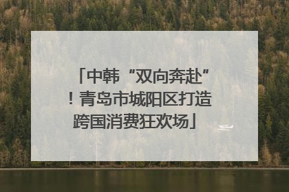 中韩“双向奔赴”！青岛市城阳区打造跨国消费狂欢场