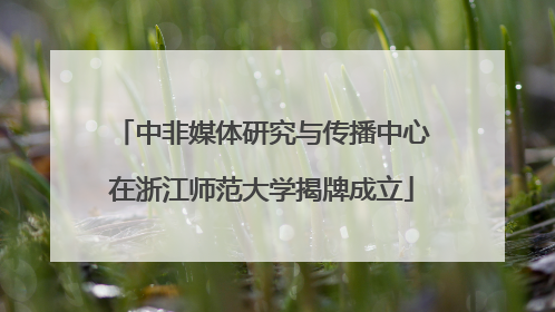 中非媒体研究与传播中心在浙江师范大学揭牌成立