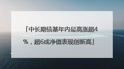 中长期债基年内最高涨超4%，超6成净值表现创新高
