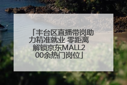 丰台区直播带岗助力精准就业 零距离解锁京东MALL200余热门岗位