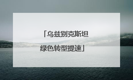 乌兹别克斯坦绿色转型提速