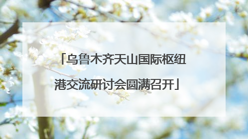 乌鲁木齐天山国际枢纽港交流研讨会圆满召开