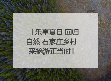乐享夏日 回归自然 石家庄乡村采摘游正当时