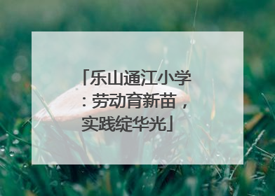 乐山通江小学：劳动育新苗，实践绽华光