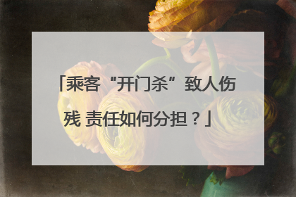 乘客“开门杀”致人伤残 责任如何分担？