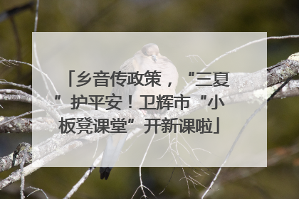 乡音传政策，“三夏”护平安！卫辉市“小板凳课堂”开新课啦