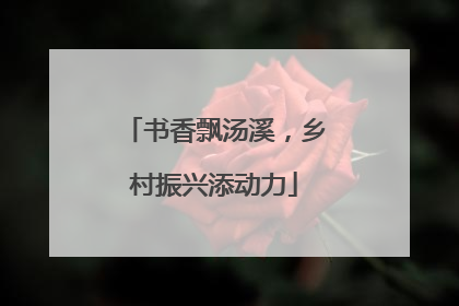 书香飘汤溪，乡村振兴添动力