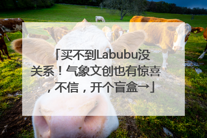 买不到Labubu没关系！气象文创也有惊喜，不信，开个盲盒→