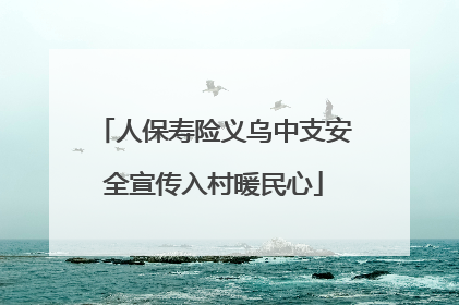 人保寿险义乌中支安全宣传入村暖民心