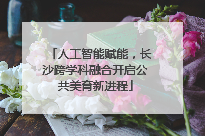 人工智能赋能，长沙跨学科融合开启公共美育新进程