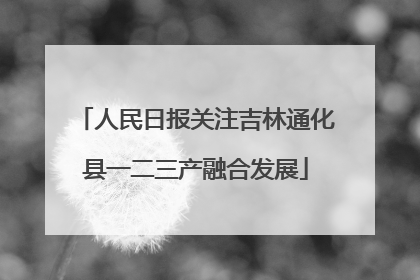 人民日报关注吉林通化县一二三产融合发展
