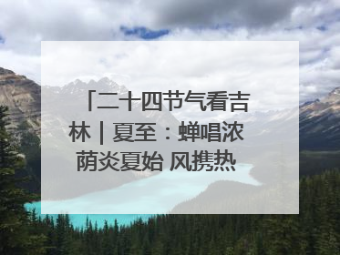 二十四节气看吉林｜夏至：蝉唱浓荫炎夏始 风携热浪白昼长
