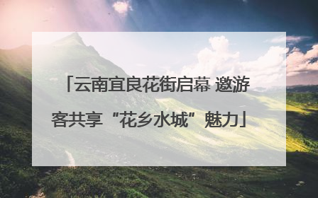 云南宜良花街启幕 邀游客共享“花乡水城”魅力