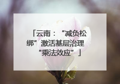 云南：“减负松绑”激活基层治理“乘法效应”