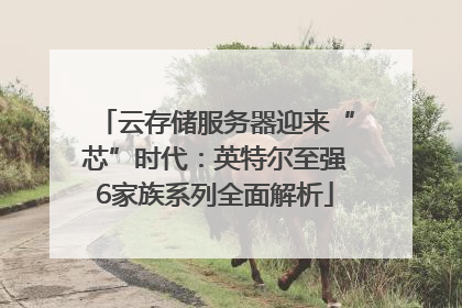 云存储服务器迎来“芯”时代：英特尔至强6家族系列全面解析