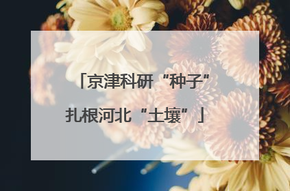 京津科研“种子”扎根河北“土壤”