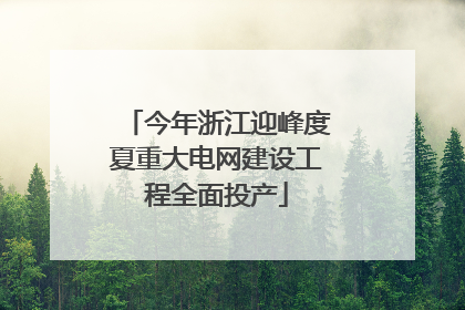 今年浙江迎峰度夏重大电网建设工程全面投产