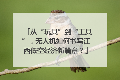 从“玩具”到“工具”，无人机如何书写江西低空经济新篇章？