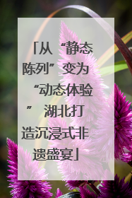 从“静态陈列”变为“动态体验” 湖北打造沉浸式非遗盛宴