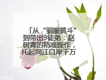 从“驯服抓斗”到带出9徒弟：赵树青的精准操作，托起同江口岸千万吨过货量