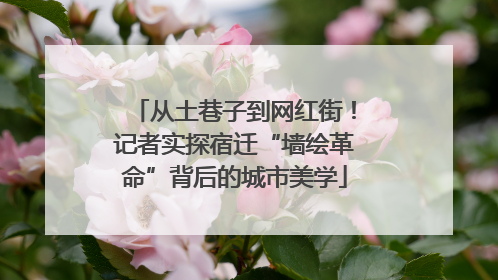 从土巷子到网红街！记者实探宿迁“墙绘革命”背后的城市美学