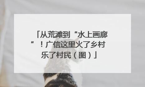 从荒滩到“水上画廊”！广信这里火了乡村 乐了村民（图）