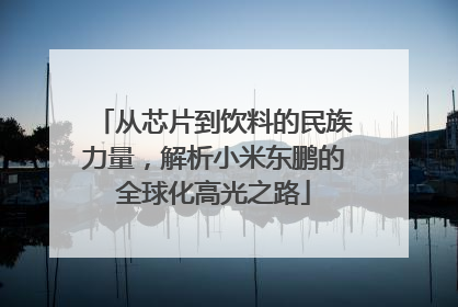从芯片到饮料的民族力量，解析小米东鹏的全球化高光之路