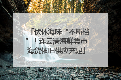 伏休海味“不断档”！连云港海鲜集市海货依旧供应充足