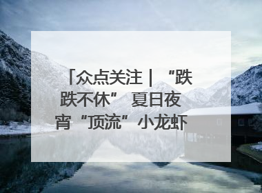 众点关注｜“跌跌不休” 夏日夜宵“顶流”小龙虾价格腰斩 东营人的快乐来了