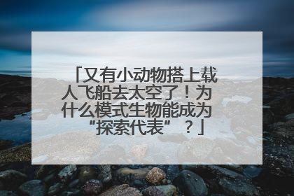 又有小动物搭上载人飞船去太空了！为什么模式生物能成为“探索代表”？
