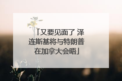 又要见面了 泽连斯基将与特朗普在加拿大会晤
