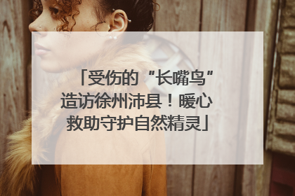 受伤的“长嘴鸟”造访徐州沛县！暖心救助守护自然精灵