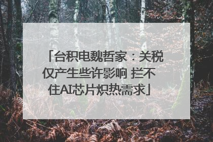台积电魏哲家：关税仅产生些许影响 拦不住AI芯片炽热需求